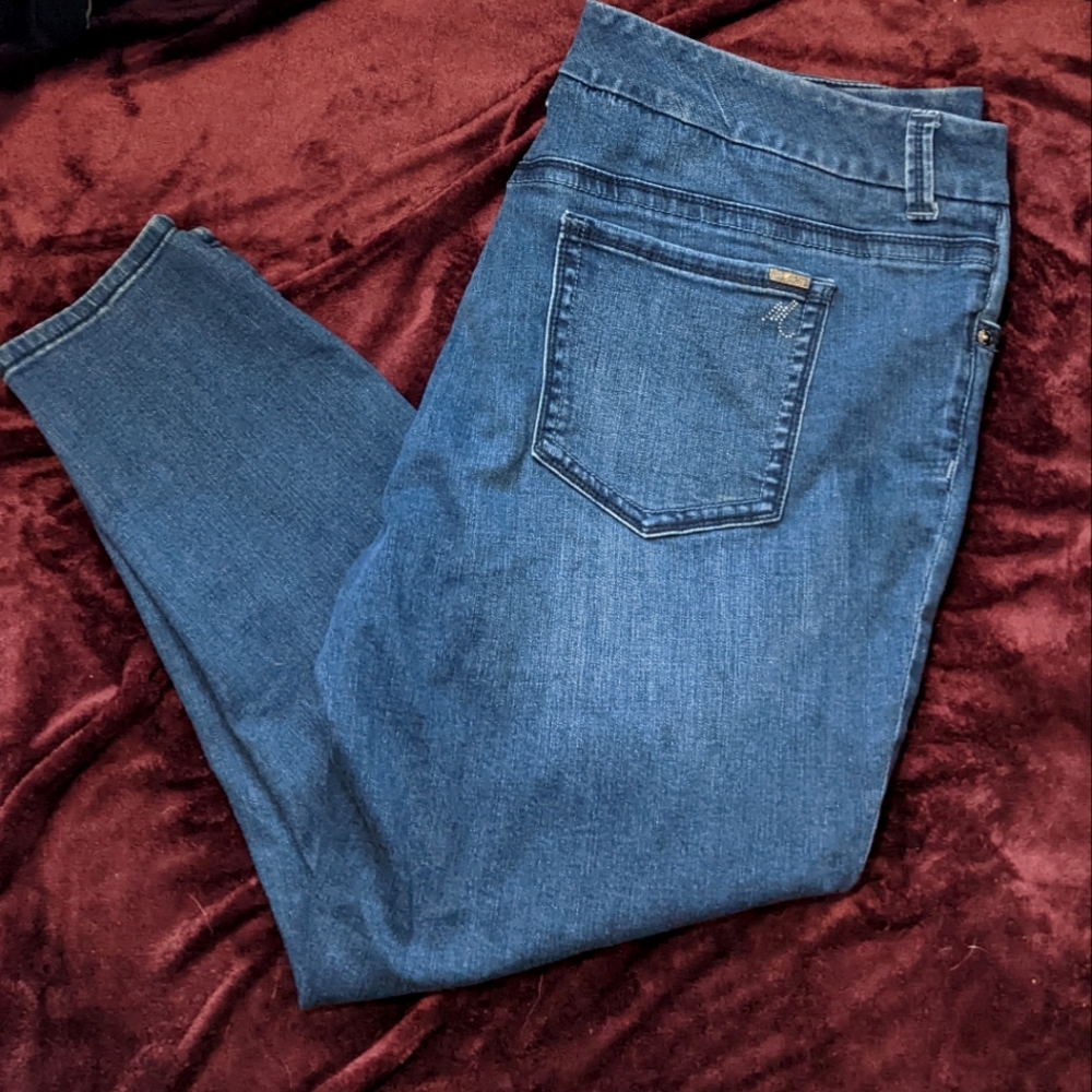 Melissa McCarthy Seven7 Pencil, skinny jeans